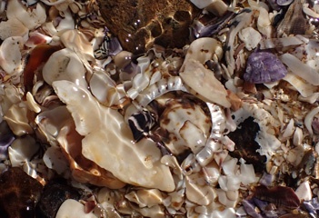 P8304807a.jpg